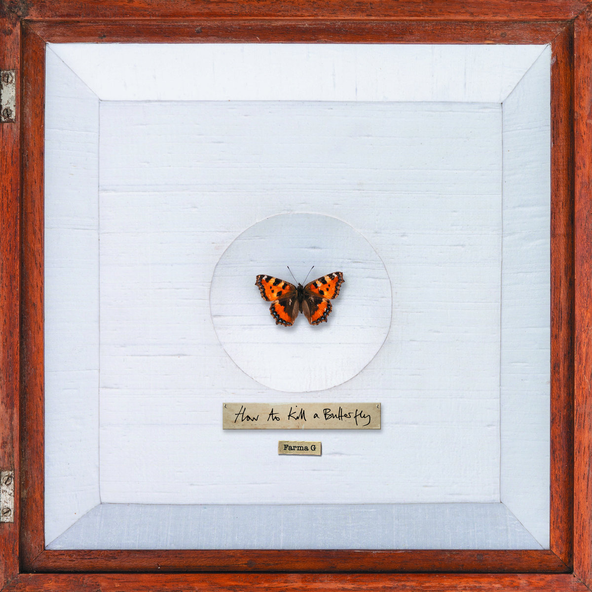 How To Kill a Butterfly